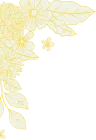 200+ - kaiyun