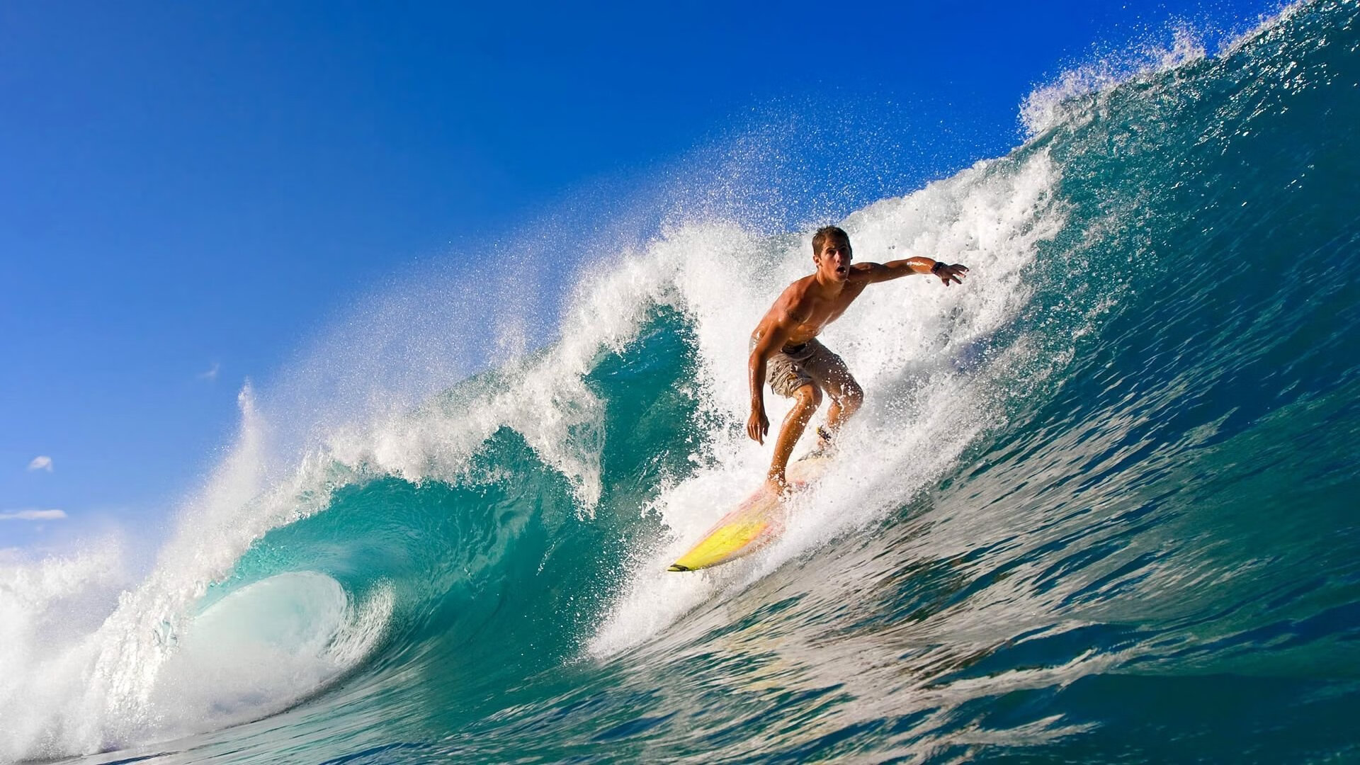 开云官网登录-赛道风云：WRC不同地形挑战全解析，wrc经典赛道