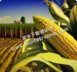 关注多元体育，满足您的无限热爱 - kaiyun